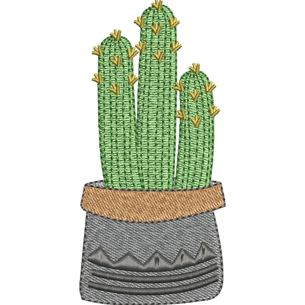 Cactus Design