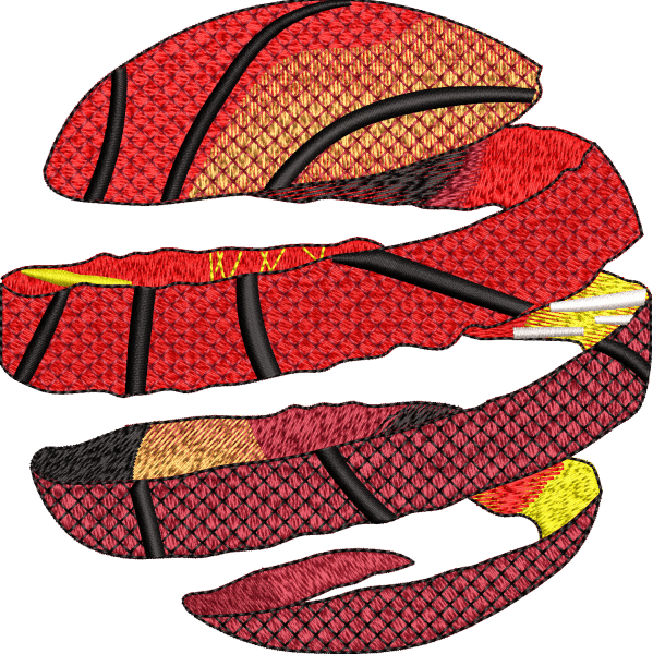 Multicolor Football Embroidery Design