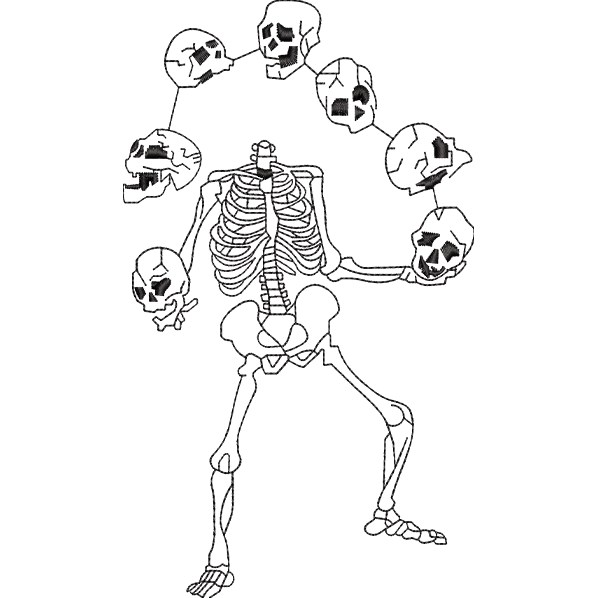 skulls design