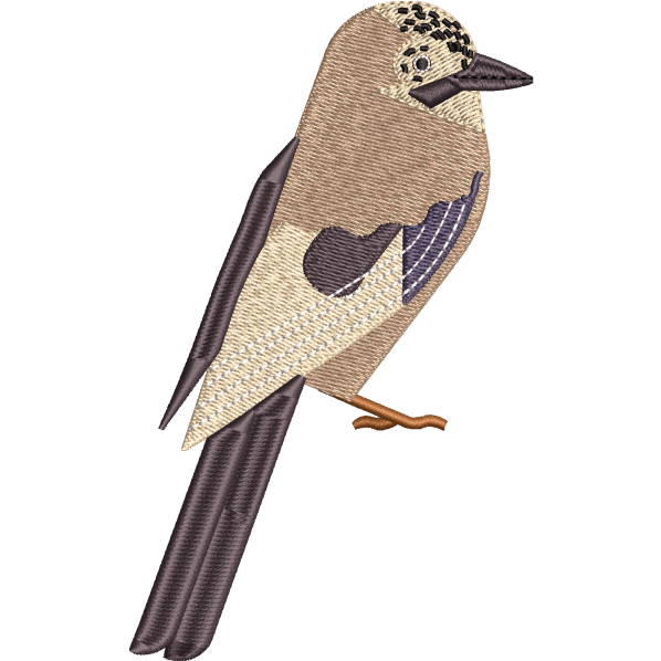 Sparrow Design