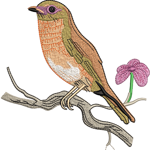 Sitting Sparrow Design