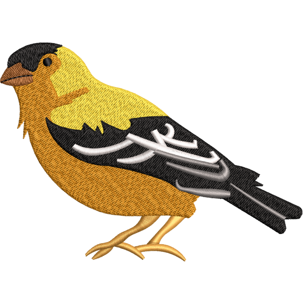 Sparrow Design