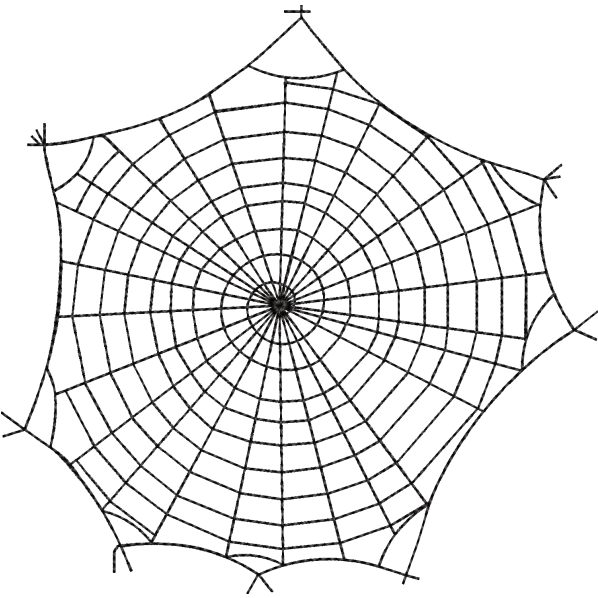 Spider Net Design