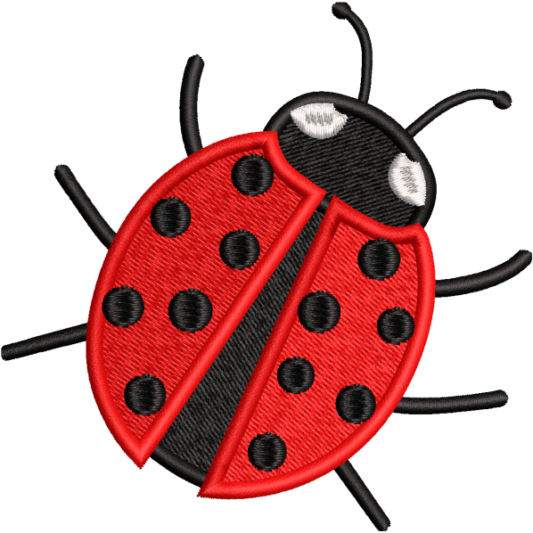 Spoty Ladybird