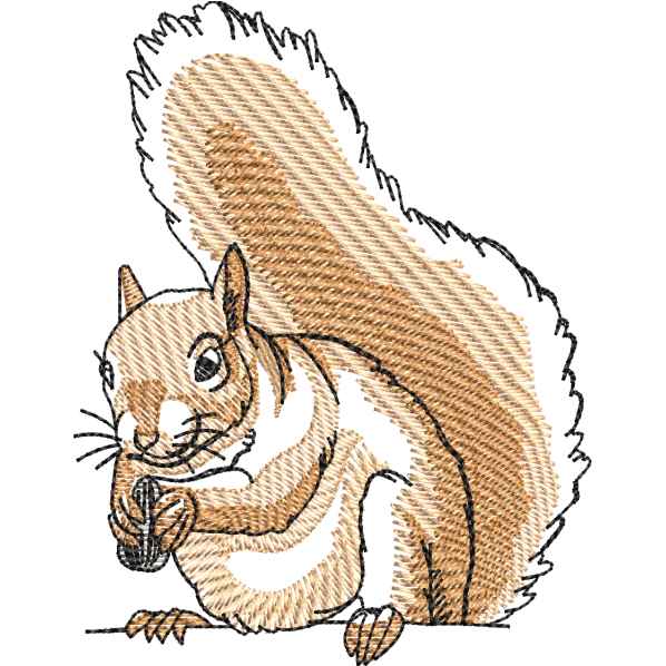 Beautiful Squirrel Design