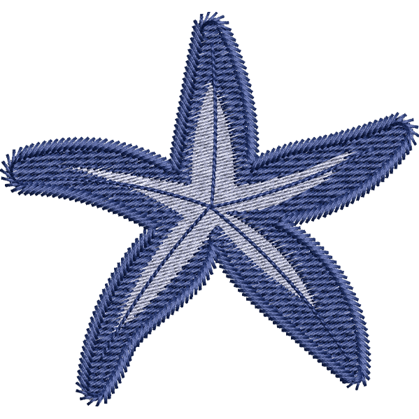 Blue Star Fish Design