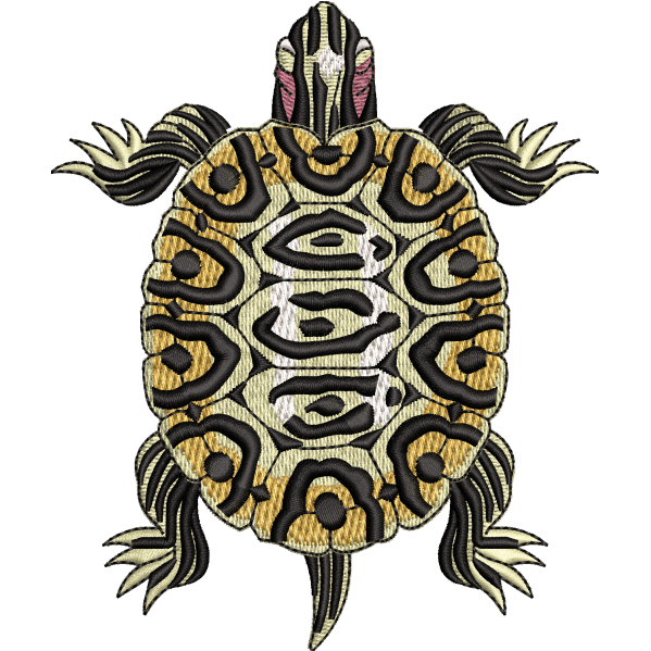 Old Tortoise Design