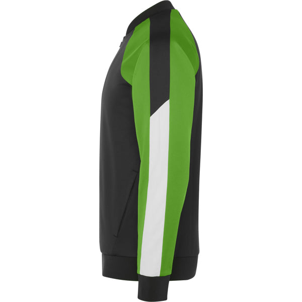 Roly GLADIUS — product view