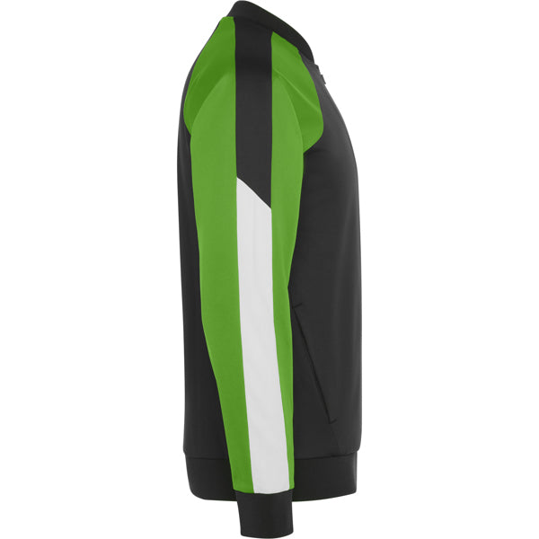 Roly GLADIUS — product view